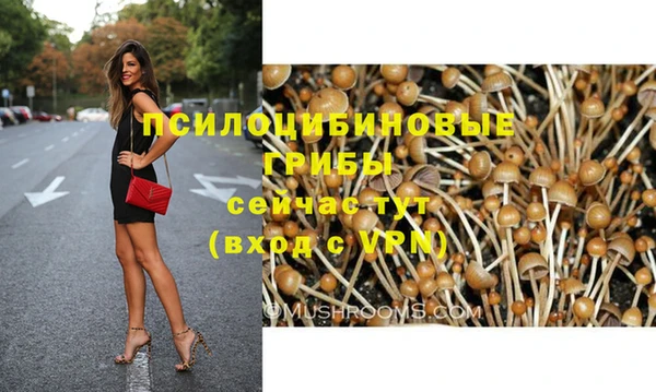сатива Инсар
