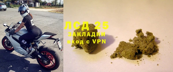сатива Инсар