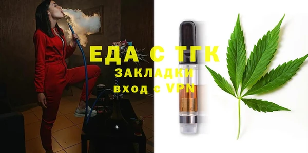 сатива Инсар