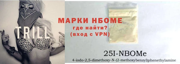 сатива Инсар