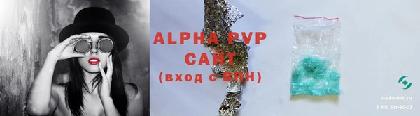 сатива Инсар