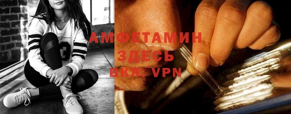 сатива Инсар