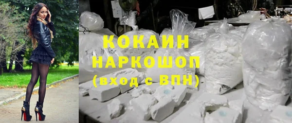 сатива Инсар