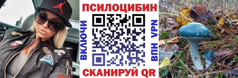 магазин продажи наркотиков  Сосногорск  мега tor  Галлюциногенные грибы мухоморы 